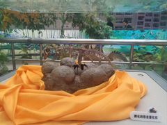 -诸城市恐龙博物馆