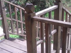 中山公园-沈阳中山公园