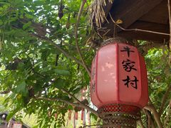 -合肥滨湖国家森林公园