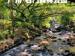 -广州市石门国家森林公园