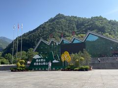 -牛背梁国家森林公园
