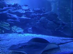 -太平洋海底世界