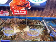 -开海·红岛海鲜虾水饺(石老人店)