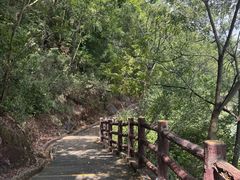 -羚羊峡古栈道森林公园