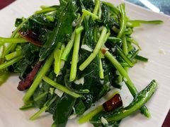 炒板蓝根-一颗印(懋庐店)