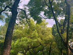-晓港公园