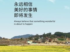 -福建土楼（华安）旅游区•大地土楼群