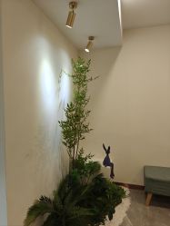 -FUMEIHUI·科技美肤·美体SPA