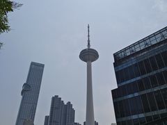 -辽宁电视塔