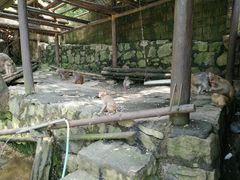 -罗田天堂寨风景区