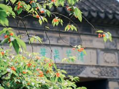 -拙政园
