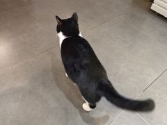 -原田新料理(1912店)