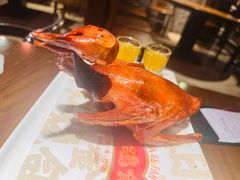 -大鸽饭(动物园店)