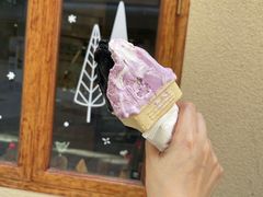 -柠檬车露(卖草地店)