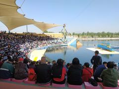 -秦皇岛乐岛海洋王国