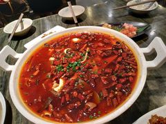 毛血旺-庆合府重庆大排档(紫都城店)