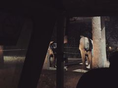 -清迈夜间动物园