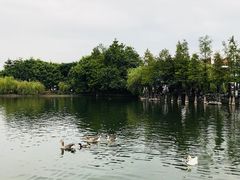 景点-东莞市可园博物馆