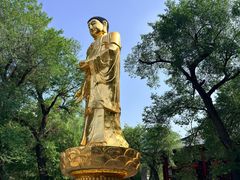 -哈尔滨极乐寺