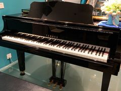 -圣典成人钢琴俱乐部(国贸旗舰校区)