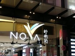 -岭南站NOVA