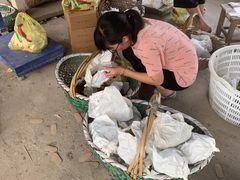 -马陆小张葡萄园农家乐