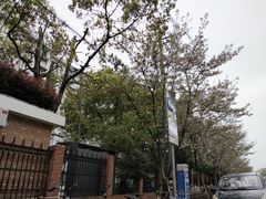 -永乐路-路侧停车场