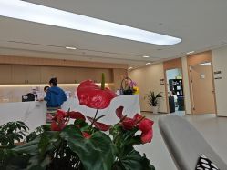 -上海伊莱美医疗美容医院