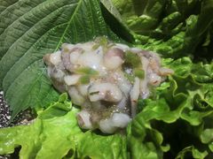 -那胡同里的小烤肉馆(开发区万达店)