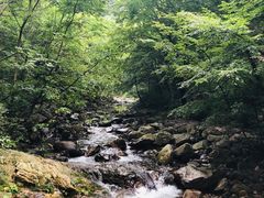 -九龙潭景区