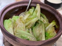 啫啫生菜煲-陶陶居酒家(海岸城店)