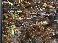 波士顿龙虾-盒马鲜生(皇庭广场店)