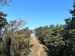 -湖州龙王山景区