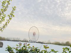 -扬州天乐湖嬉乐谷