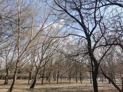 -长春公园(普阳街道)