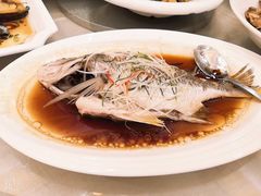 -锦粤宫·精致粤菜(深圳北站店)