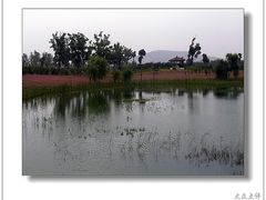 -苏州太湖国家湿地公园