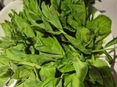 豌豆苗-小龙翻大江文化火锅(宽窄店)
