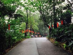 -芦苞胥江祖庙
