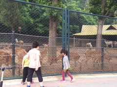 -大连森林动物园