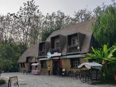 -合肥滨湖国家森林公园