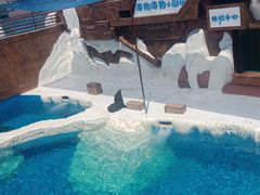 -秦皇岛乐岛海洋王国