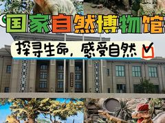 -国家自然博物馆