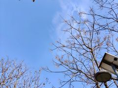 -洨河生态公园