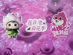 -莲花池公园
