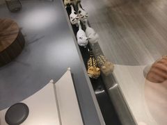 -飞行喵MR PILOT|猫舍·猫咖(静安大融城店)
