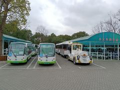 -上海海湾国家森林公园