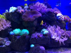 -乌鲁木齐海洋馆