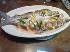 清蒸白丝鱼-观桥阁(锦溪店)