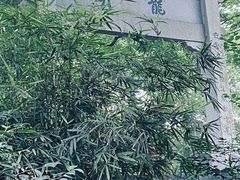 -龙井壹号·茶缘山景宴(龙井村店)